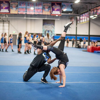 Handsprings